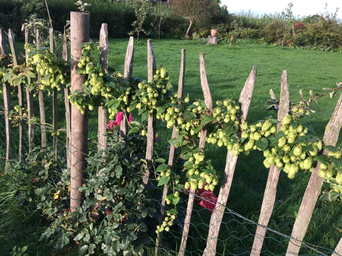 Bed & Breakfast 5 Min From E47 - Dogs Welcome - Cosy Farm Bnb Tureby Exterior foto
